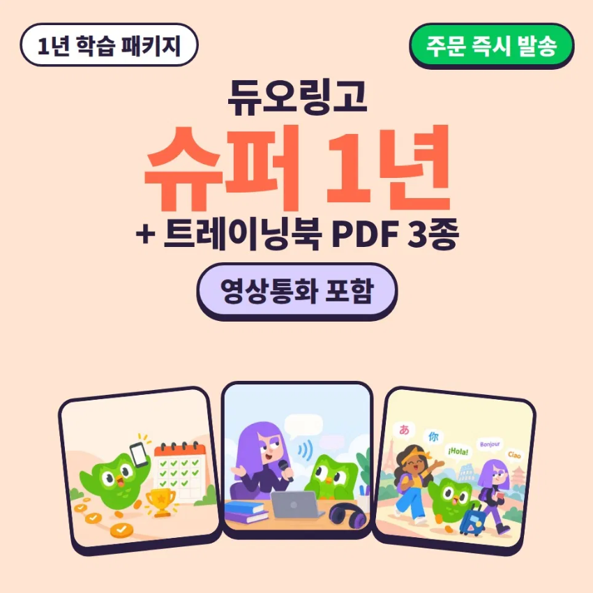 듀오링고 슈퍼 1년 학습 패키지 맥스 영상통화 + 트레이닝북 PDF 3종