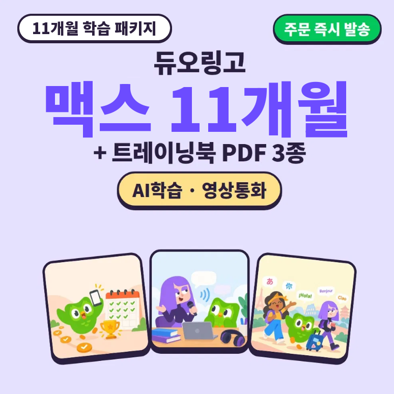 듀오링고 맥스 11개월 학습 패키지 + 트레이닝북 PDF 3종